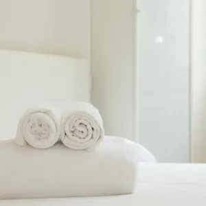 https://apt-klimt-central-station-two-room.it-lombardy.com